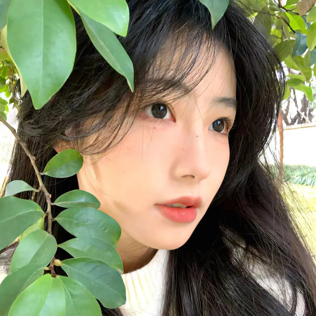 凡尔赛 第二季